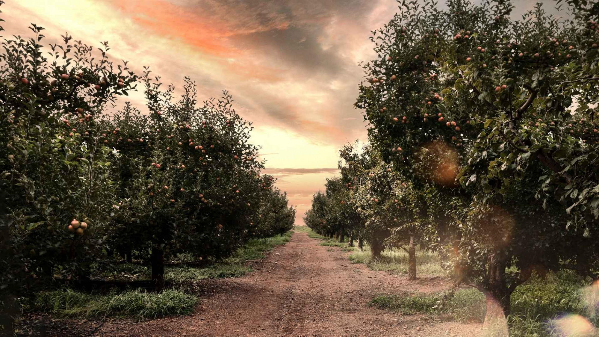 10. Dutch Barn Vodka