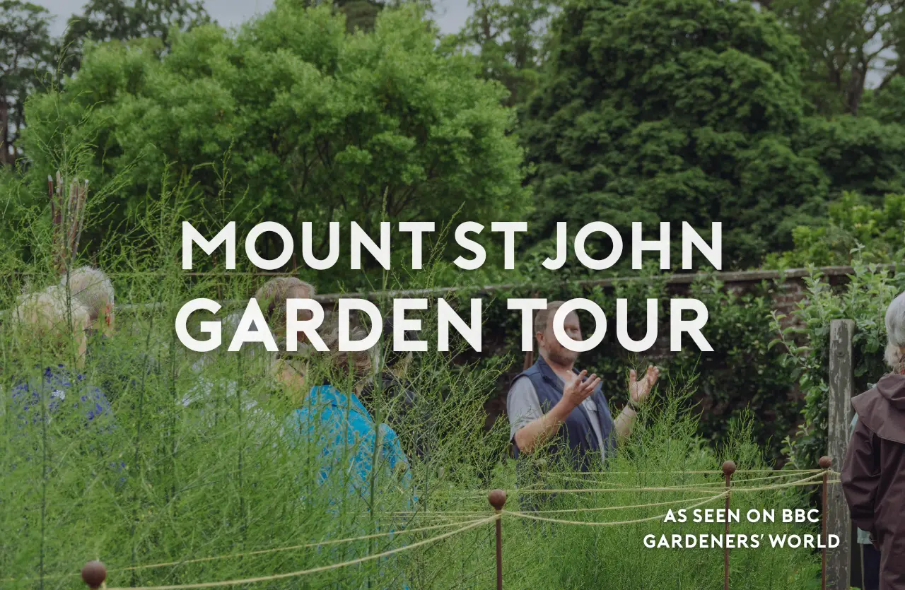 Private Kitchen Garden Tour & three-course meal