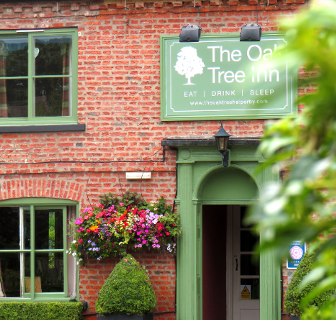The Oak Tree