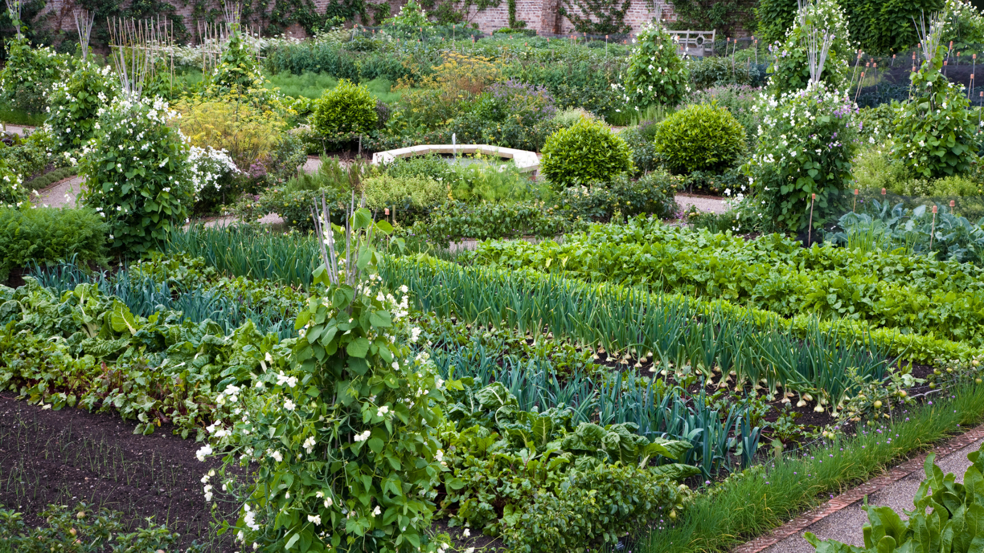 From Farm to Table: Where to Find Locally Sourced Food in North Yorkshire